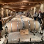Emilie på Chateau Canon-La-Gaffelière i St.-Emilion är en utsökt guide med sin uttömmande presentation från rotstockar till buteljerade viner Emilie på Chateau Canon-La-Gaffelière i St.-Emilion är en utsökt guide med sin uttömmande presentation från rotstockar till buteljerade viner