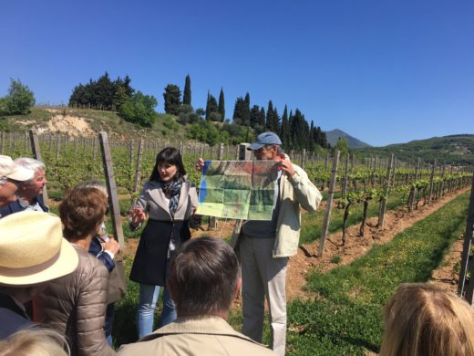 Export manager Martina Margoni på Allegrini visar oss vinfälten La Grola och La Poja i Valpolicella