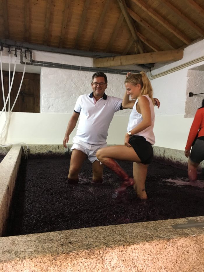Fottrampning av druvor i lagares på vingården Wine & Soul i Dourodalen. Kan försäkra er om att årets årgång kommer att ha en "svensk touch"