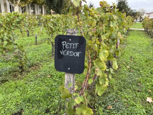 Första besöket i Medoc var på Chateau Lascombes i Margaux. På många slott pratar man gärna om Petit-Verdot, som blivit en allt mer viktig druvsort