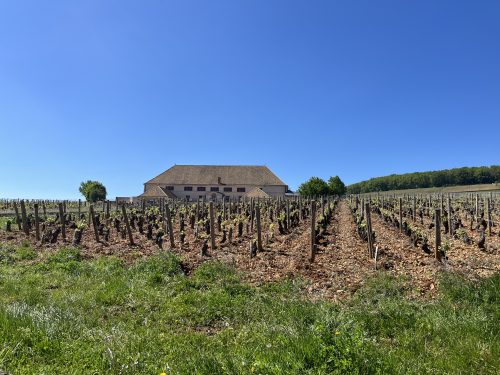 Vi besökte även Louis Latour i byn Aloxe-Corton på deras Chateau de Grancey