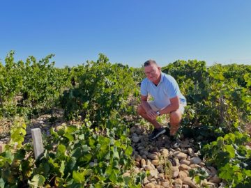 Ute bland vinfälten i Chateauneuf-du-Pape med galet-stenar