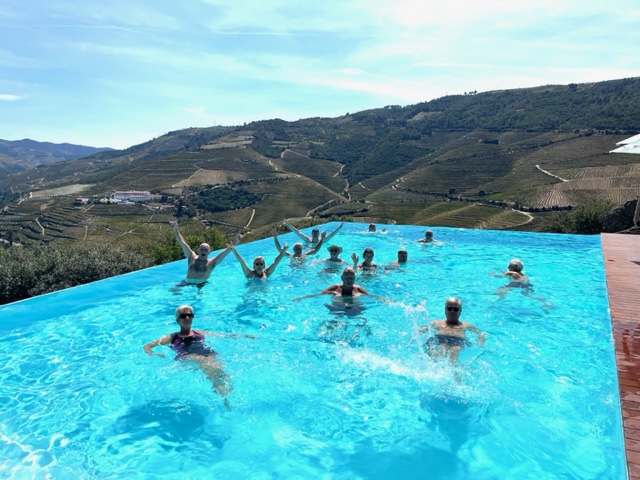 Ett glatt gäng i poolen på Quinta Do Crasto