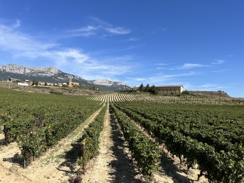 Vi hade ett helt fantastiskt väder under hela resan med en temperatur på 28 grader. Här har vi bergskedjan Sierra Cantabria i bakgrunden