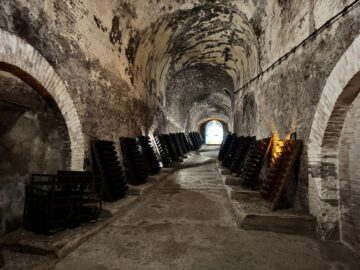 Ett av veckans sex vinbesök var hos utsökta Philipponnat i byn Mareuil-Sur-Aÿ