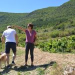 Languedoc