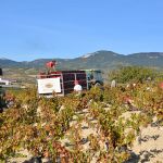 Rioja och San Sebastian