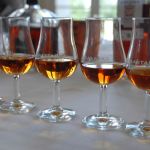 Tryffeljakt i Cognac