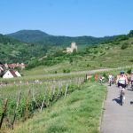 Alsace 2012