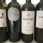 Fin provning på Bodegas Mauro i Tudela del Duero Fin provning på Bodegas Mauro i Tudela del Duero