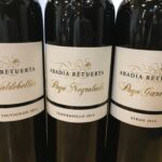 Viner som har blivit några av mina favoriter under mina resor i Ribera del Duero. Storstilade viner på Petit Verdot, Syrah, Tempranillo samt Cabernet Sauvignon Viner som har blivit några av mina favoriter under mina resor i Ribera del Duero. Storstilade viner på Petit Verdot, Syrah, Tempranillo samt Cabernet Sauvignon