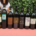 Snyggt batteri av viner som provades hos Poderi del Paradaiso i San Gimignano Snyggt batteri av viner som provades hos Poderi del Paradaiso i San Gimignano