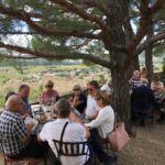 Vi åt en mycket god lunch på Le Vergers des Papes i Chateauneuf-du-Pape Vi åt en mycket god lunch på Le Vergers des Papes i Chateauneuf-du-Pape