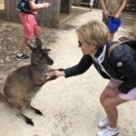 På Wild Life Park på Kangaroo Island kom vi väldigt nära känguru På Wild Life Park på Kangaroo Island kom vi väldigt nära känguru