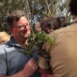 På Wild Life Park på Kangaroo Island fick vi även möta Koalabjörnar. Senare under dagen skulle vi även stöta på dessa fina björnar ute i det vilda På Wild Life Park på Kangaroo Island fick vi även möta Koalabjörnar. Senare under dagen skulle vi även stöta på dessa fina björnar ute i det vilda