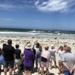 Seal Bay på Kangaroo Island Seal Bay på Kangaroo Island