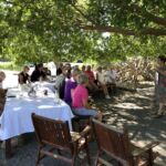 Fin provning hos "mästaren på Pinot Noir" i Martinborough: Ata Rangi Fin provning hos "mästaren på Pinot Noir" i Martinborough: Ata Rangi