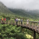En morgon vandring genom Kirstenbosch Botanical Garden En morgon vandring genom Kirstenbosch Botanical Garden