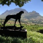 Vacker utsikt från Delaire Graff i Stellenbosch Vacker utsikt från Delaire Graff i Stellenbosch