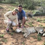 Tillbaka till Tshukudu Game Lodge och möte med "våra" cheetah´s Tillbaka till Tshukudu Game Lodge och möte med "våra" cheetah´s