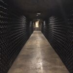 28 km. med källare hos Moët & Chandon i Epernay 28 km. med källare hos Moët & Chandon i Epernay