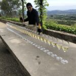 Ett välkomnande med stil på exklusiva Harlan Estate. Ett glas Krug Grande Cuvée Champagne Ett välkomnande med stil på exklusiva Harlan Estate. Ett glas Krug Grande Cuvée Champagne