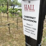 Sista provningen under vår vistelse i Napa Valley var på utmärkta Hall Sista provningen under vår vistelse i Napa Valley var på utmärkta Hall