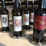 Fokus på Cabernet Sauvignon där Kathryn Hall var helt magisk Fokus på Cabernet Sauvignon där Kathryn Hall var helt magisk