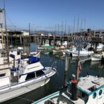 En avslutande dag i San Francisco med Fishermans Wharf En avslutande dag i San Francisco med Fishermans Wharf