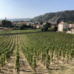 Rundvandring upp till Hermitage Rundvandring upp till Hermitage