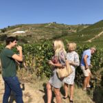 Adrien berättar för mina gäster varför vinerna som Hermitage är så unika Adrien berättar för mina gäster varför vinerna som Hermitage är så unika