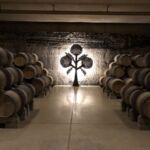 Den vackra källaren på Bodegas Roda i byn Haro-Rioja Den vackra källaren på Bodegas Roda i byn Haro-Rioja