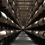 Imponerande barrique-källare på Abadia Retuerta Imponerande barrique-källare på Abadia Retuerta