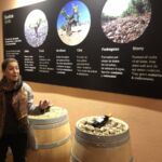 Genomgång av olika jordtyper på Emilio Moro vilket präglar deras olika viner Genomgång av olika jordtyper på Emilio Moro vilket präglar deras olika viner