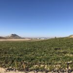 Utsikt mot borgen i Penafiel Utsikt mot borgen i Penafiel