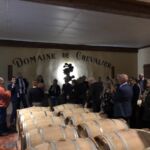 Fatprovning av det vita vinet Grand Cru Classé på Domaine de Chevalier Fatprovning av det vita vinet Grand Cru Classé på Domaine de Chevalier