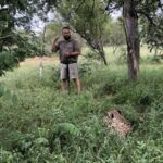 Äntligen hittade vi en cheetah!! Äntligen hittade vi en cheetah!!