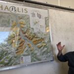 Genomgång av Chablis och dess olika terroirer