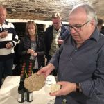 Den klassiska stenen "kimmeridge" hos William Févre i Chablis
