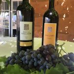 Hos Quinta do Vallado njöt vi b.l.a av deras utsökta Reserva Fields blend samt en gos 20 years Tawny Port