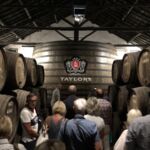 Rundvisning på Taylor´s Lodge i Vilanova de Gaia
