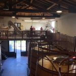 Sortering av druvor på Bodegas Roda denna sista skördedag 2019