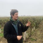 Genomgång ute på fältet av terroir med vinmakaren på Chateau Coutet i Barsac-Sauternes
