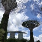 Innan vi flög vidare till Sydney och Australien gjorde vi ett besök i Gardens by the Bay