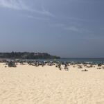 En ledig dag på Bondi Beach är inte helt fel
