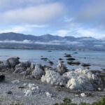 Fina naturupplevelser i Kaikoura på Nya Zeeland´s östkust