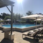 Vid lediga stunder kopplade vi av vid den härliga poolen på Spier Hotel där vi bodde under fem nätter