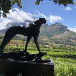På väg till en mycket fin lunch på lyxiga och smakfulla Delaire Graff i Stellenbosch
