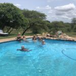 safari på Thsukudu Game Reserve