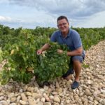 Gamla Grenache-plantor med Galette-stenar i Chateauneuf-du-Pape Gamla Grenache-plantor med Galette-stenar i Chateauneuf-du-Pape